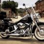 CHIESANUOVA 4 LUGLIO - Mozz >>> 50 Harley Davidson